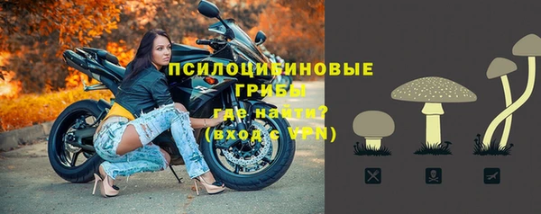 прущие грибы Зерноград