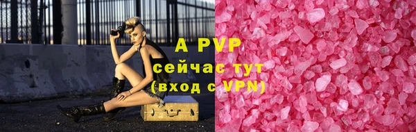 прущие грибы Зерноград
