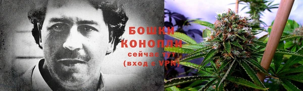 прущие грибы Зерноград