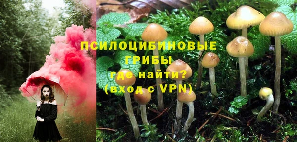 ALPHA PVP Зеленодольск