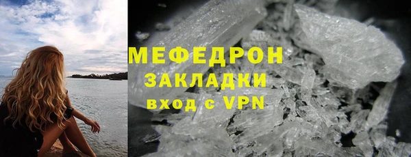 прущие грибы Зерноград