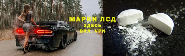прущие грибы Зерноград