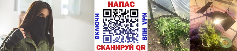Купить Наро-Фоминск Шишки марихуана Ganja